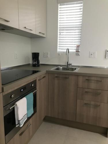 Apartamento Cozy Studio 103. Miami Downtown