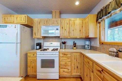 Conifer Family Cabin