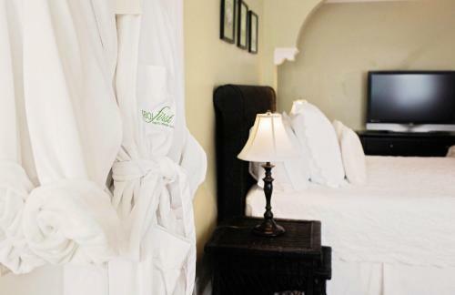 Bed & Breakfast 1801 First Luxury Inn