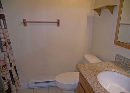 Alpine Village Resort 47
