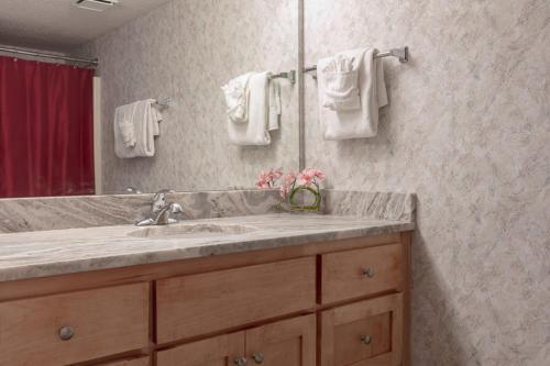 Apartamento Phoenix VII #816