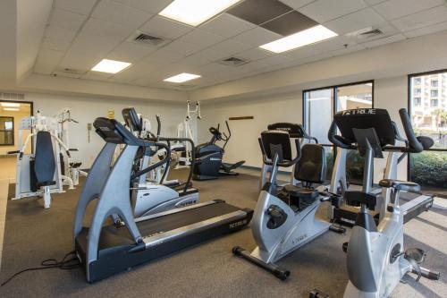 Apartamento Phoenix VII #816