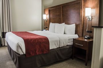 Hotel Comfort Suites University Area
