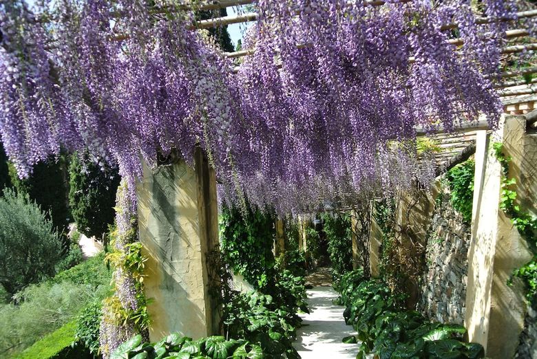 Bed & Breakfast Villa Della Pergola