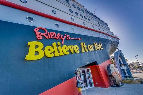 Panama Perfection
