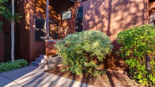 3 Kings Mountain Vista