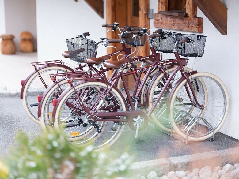 Hotel Park & Suites Prestige Meg�ve Les Loges Blanches
