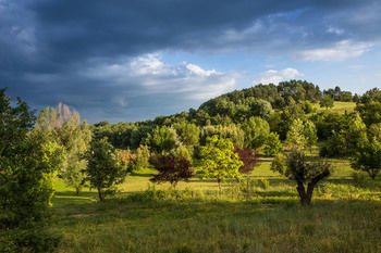 Bed & Breakfast La Campagne St Lazare