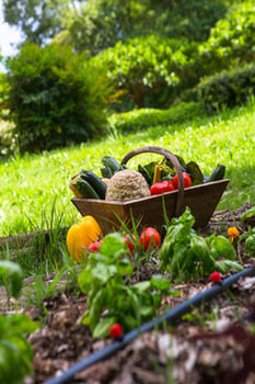 Bed & Breakfast La Campagne St Lazare