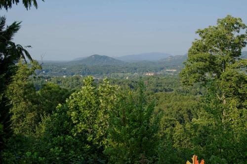 A Grand View From Above #225 - Two Bedroom Cabin