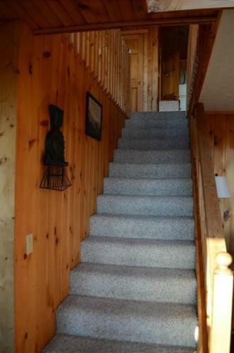 A Grand View From Above #225 - Two Bedroom Cabin