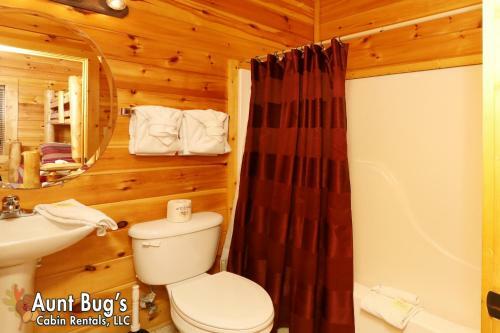 Dream Come True #555 - Five Bedroom Cabin