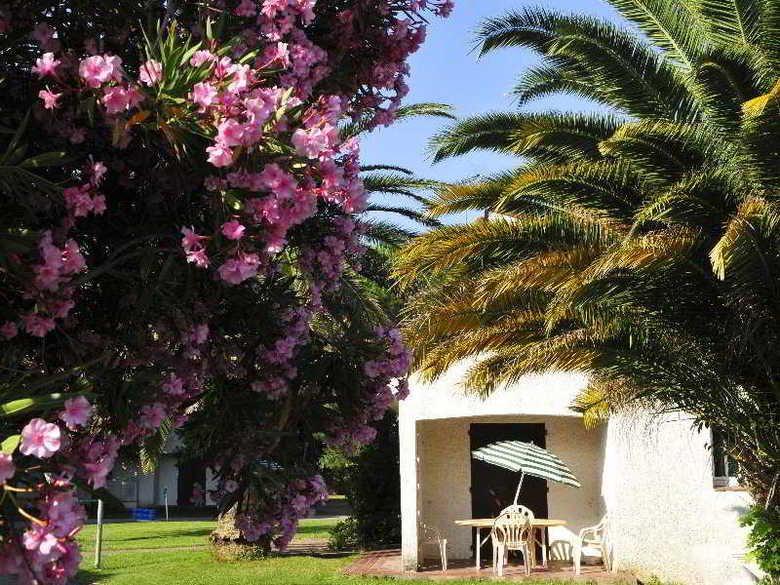 Domaine Du Mas Blanc