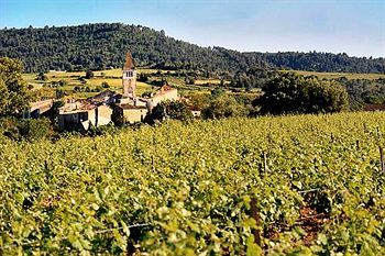 Bed & Breakfast Les Jardins De Saint-benoit - Apartments