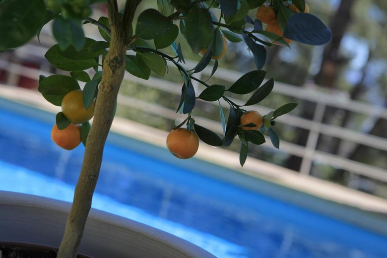 Hotel Le Mas Des Ecureuils