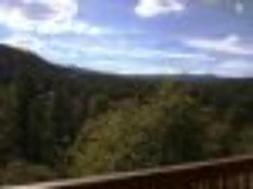 Apartamento Three Pines
