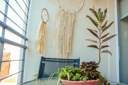 Apartamento Bonito Monoambiente En Pichincha