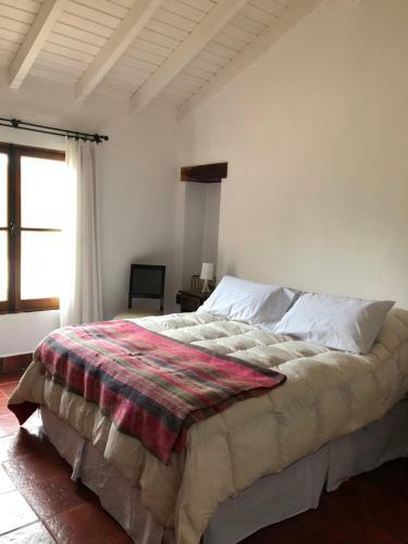 Casa Del Olivo