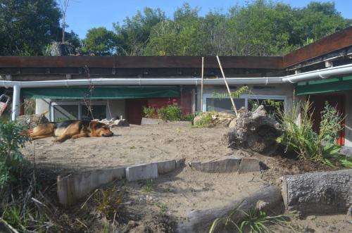 Eco-hostal Vegetariano Conciencia Del Tuy�