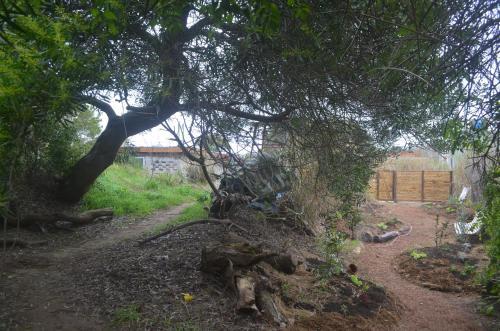 Eco-hostal Vegetariano Conciencia Del Tuy�