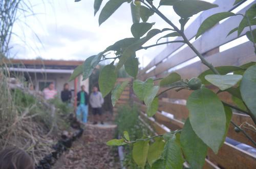 Eco-hostal Vegetariano Conciencia Del Tuy�