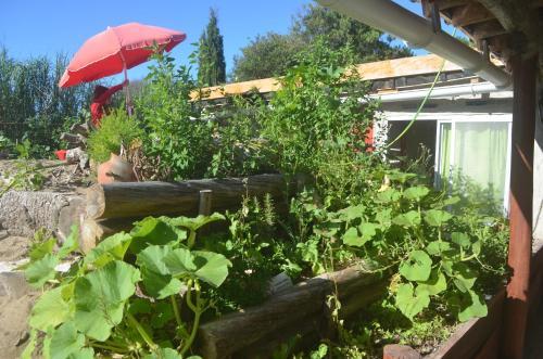 Eco-hostal Vegetariano Conciencia Del Tuy�