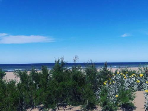 Apartamento Playa Norte