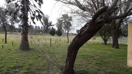 Agroturismo Posada Del Campo