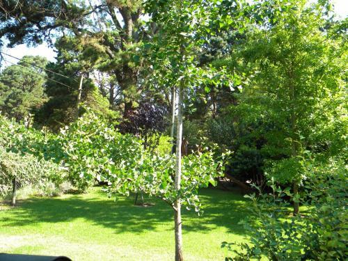 Agroturismo Casa Los Tilos