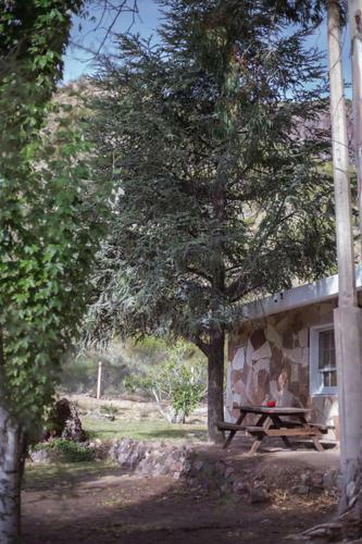 Lodge Bosque Divino Caba�as & Suites
