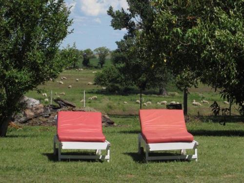 Agroturismo Establecimiento Horizonte