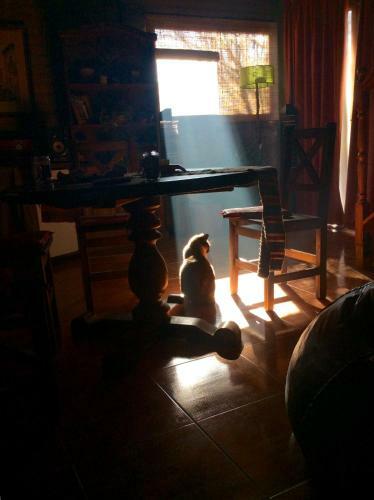 Casa Estancia Vieja-carlos Paz