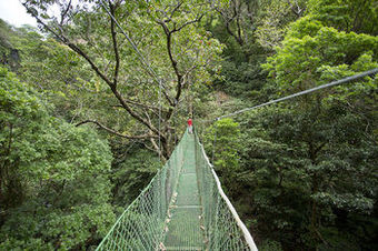 Hotel Buena Vista Lodge