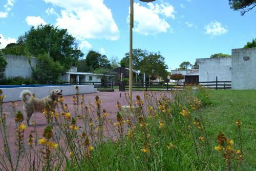 Alfil Apart Villa Gesell