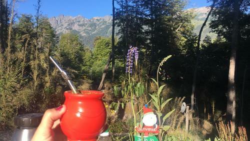 Lodge Casa Moderna En El Bosque Y Monta�a