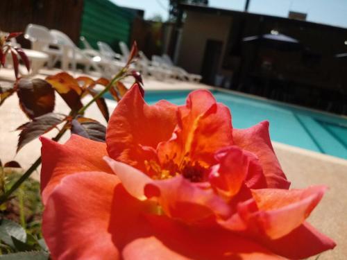 Hotel Ing� Apart & Suites
