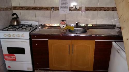 Lodge Caba�as Kehuen