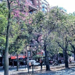 Apartamento Excelente Dpto Nueva C�rdoba