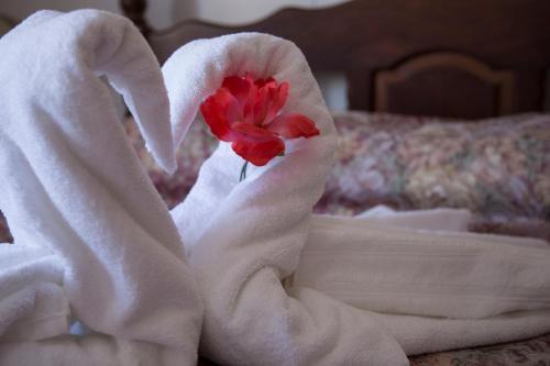 Apartamento B & B