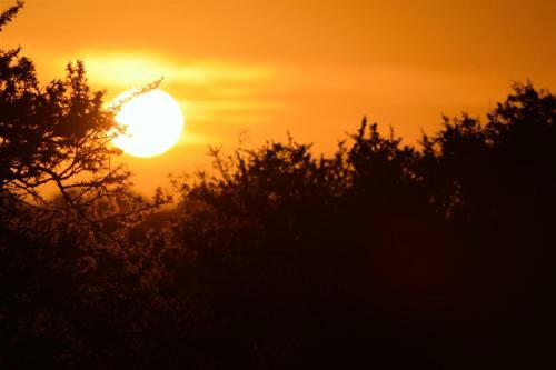 Brisa Del Atardecer