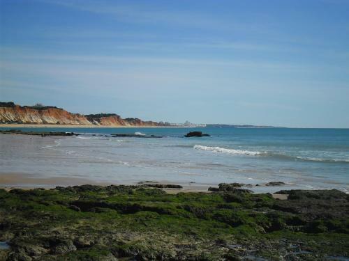 Apartamento Albufeira Ocean Terrace (31)