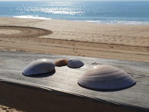 Apartamento Alvor Sea View
