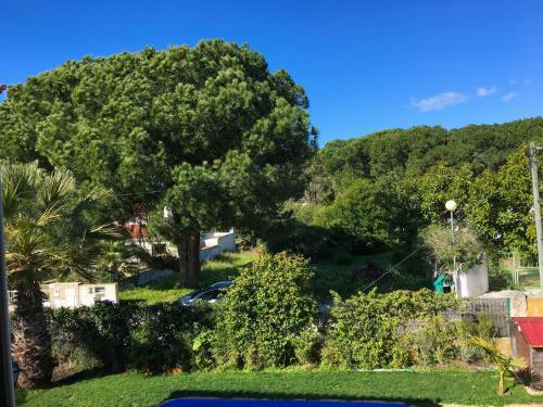Villa Lv Premier Meco/lagoa La1