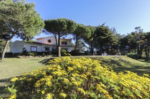 Sintra Villa With Pool By Homing