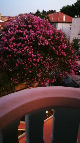 Hotel House Of Pandora