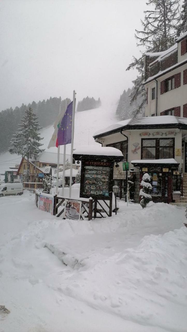 Hotel Villa Alpin