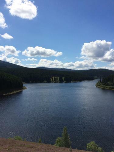 Apartamentos Ferienwohnungen Am Elfenstein