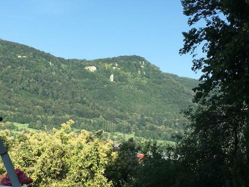 Apartamento Haus Am Sonnenh�gel