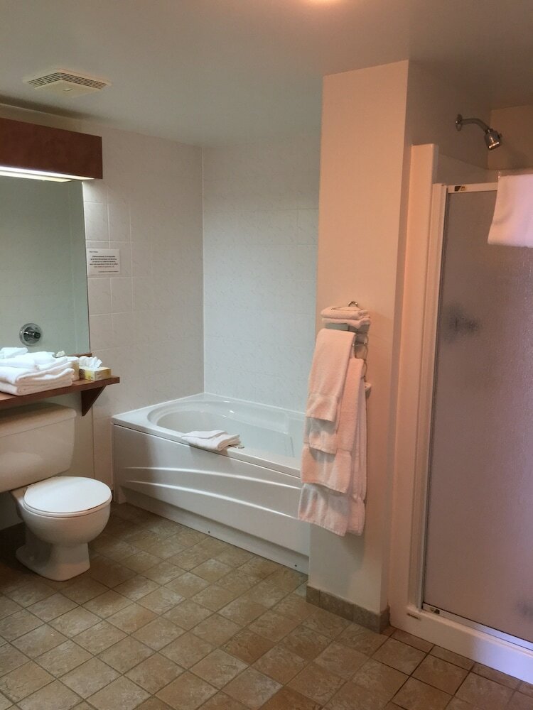 Hotel L'h�tel Au Petit Berger