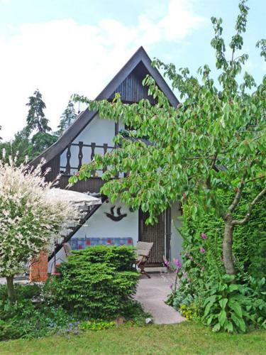 Ferienhaus Born Fdz 221